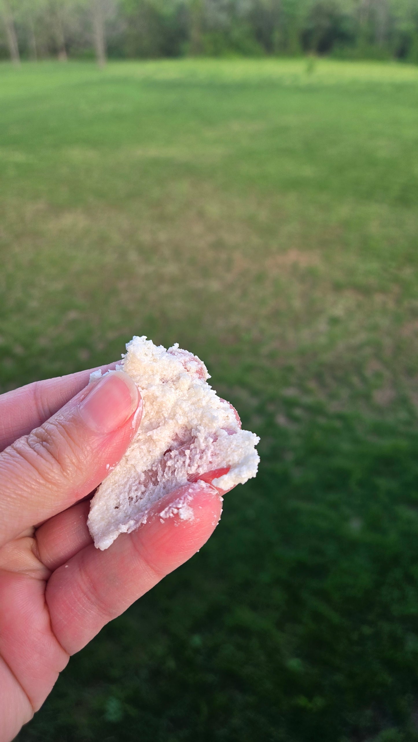 Tallow Sugar Scrub - Coconut Citrus