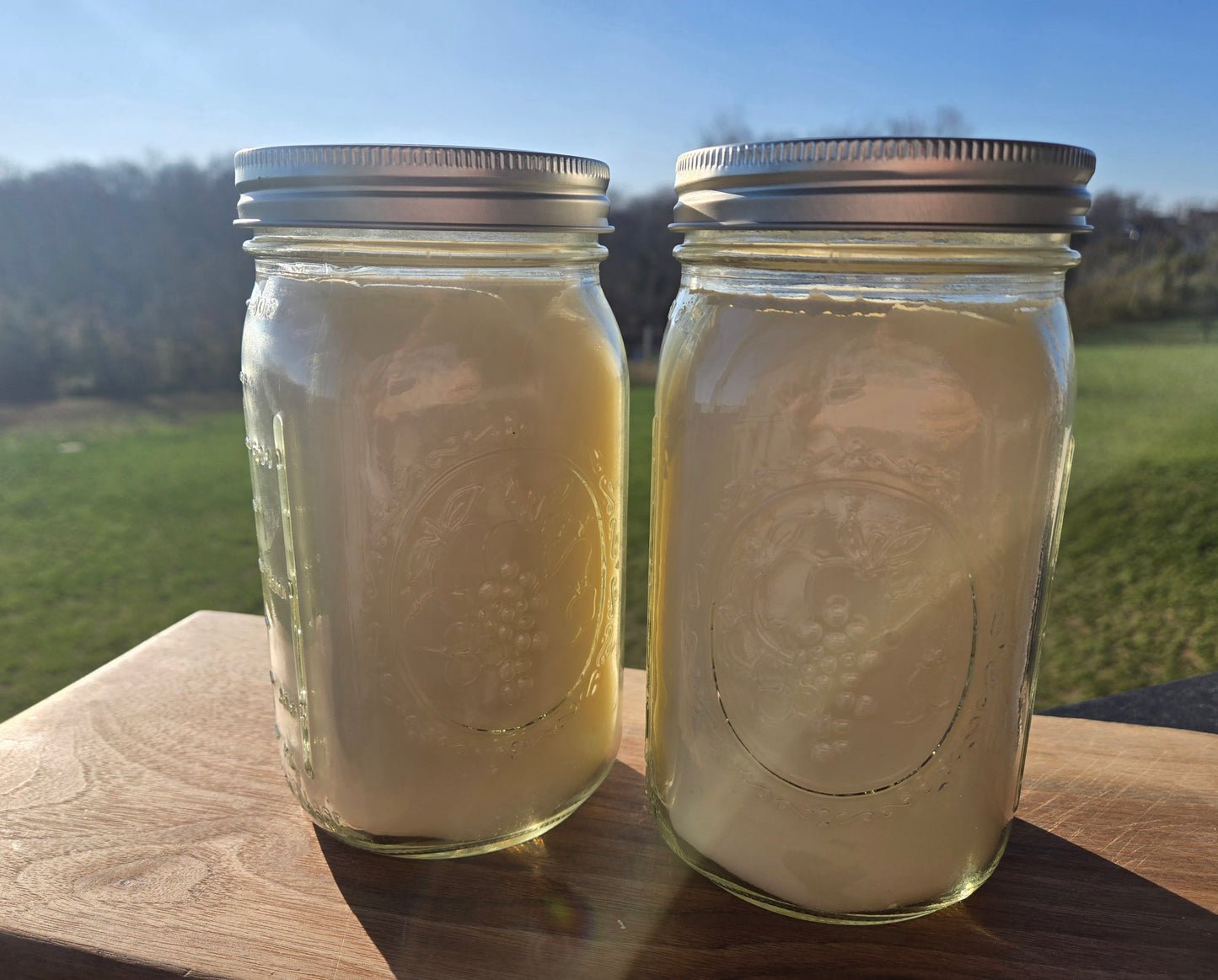 Cooking Tallow - 12 oz