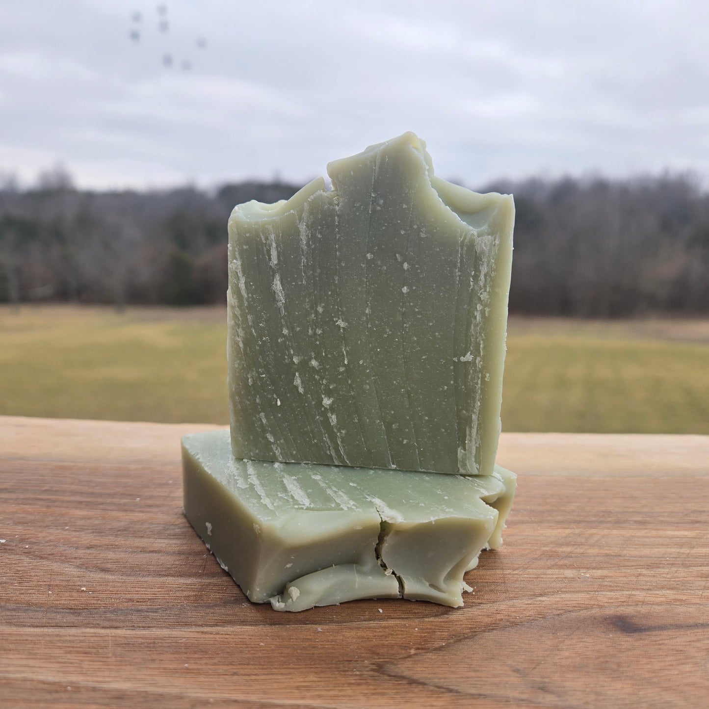 Quiet Forest Soap
